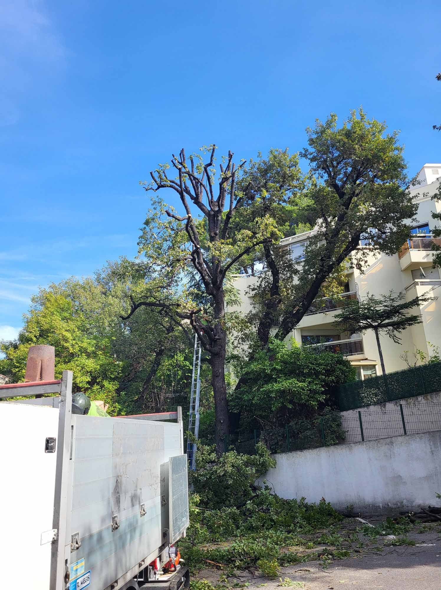 paysagiste nice-creation de jardin saint laurent du var-entretien de jardin cagnes sur mer-elagage saint jean cap ferrat-debroussaillage cannes-petit maconnerie roquebrune cap martin-jardinier paysagiste antibes