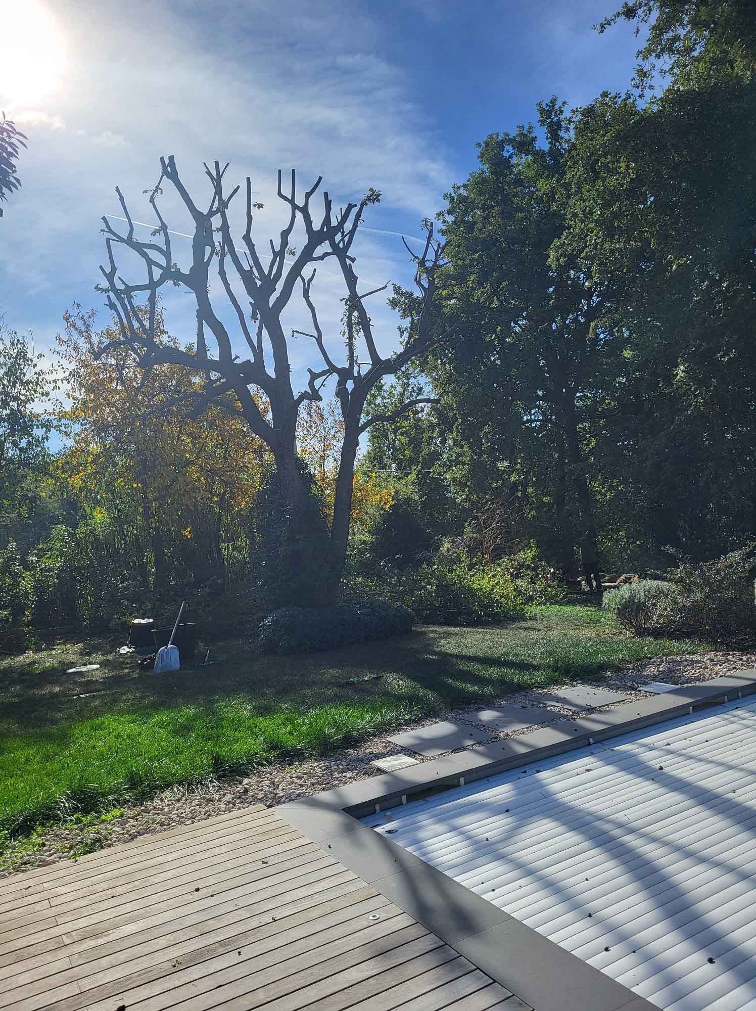 paysagiste nice-creation de jardin saint laurent du var-entretien de jardin cagnes sur mer-elagage saint jean cap ferrat-debroussaillage cannes-petit maconnerie roquebrune cap martin-jardinier paysagiste antibes