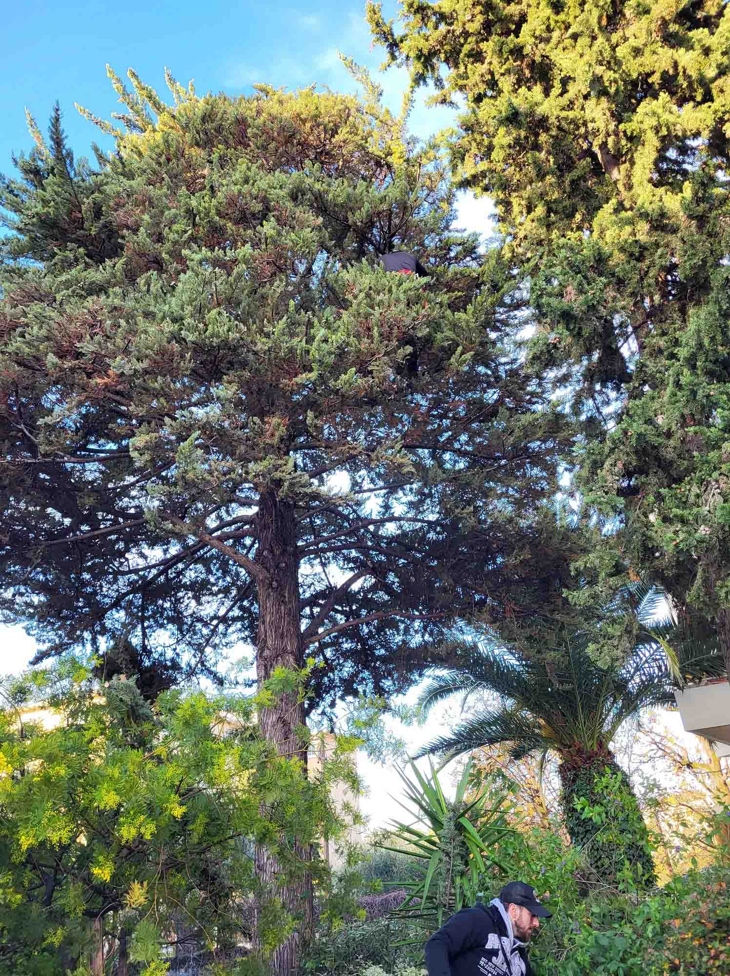 paysagiste nice-creation de jardin saint laurent du var-entretien de jardin cagnes sur mer-elagage saint jean cap ferrat-debroussaillage cannes-petit maconnerie roquebrune cap martin-jardinier paysagiste antibes