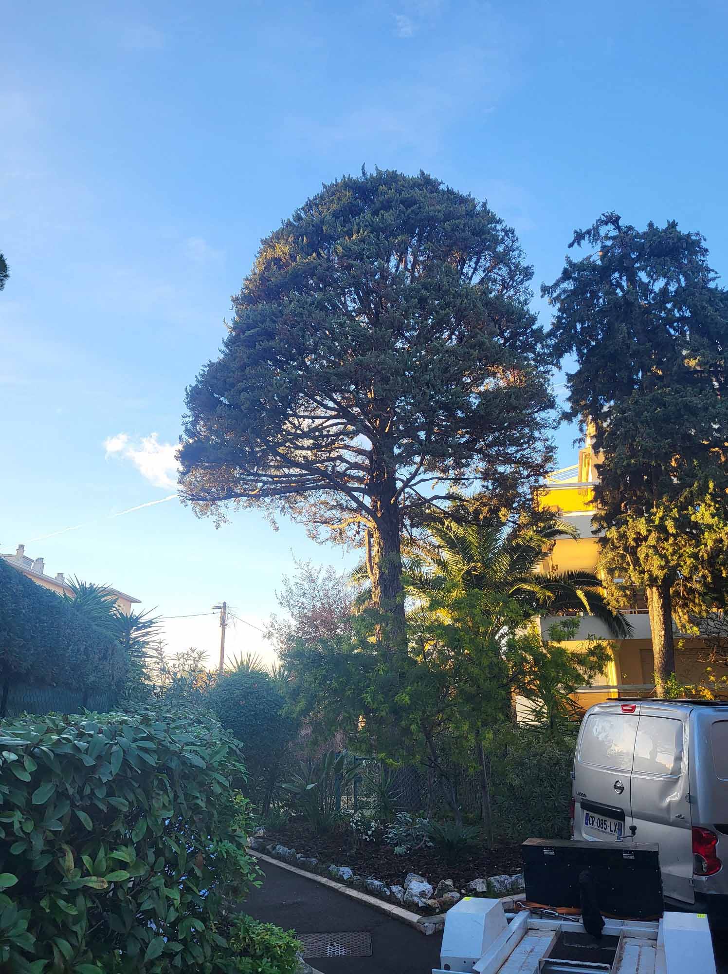 paysagiste nice-creation de jardin saint laurent du var-entretien de jardin cagnes sur mer-elagage saint jean cap ferrat-debroussaillage cannes-petit maconnerie roquebrune cap martin-jardinier paysagiste antibes