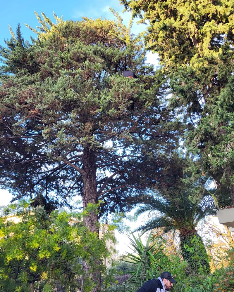 paysagiste nice-creation de jardin saint laurent du var-entretien de jardin cagnes sur mer-elagage saint jean cap ferrat-debroussaillage cannes-petit maconnerie roquebrune cap martin-jardinier paysagiste antibes