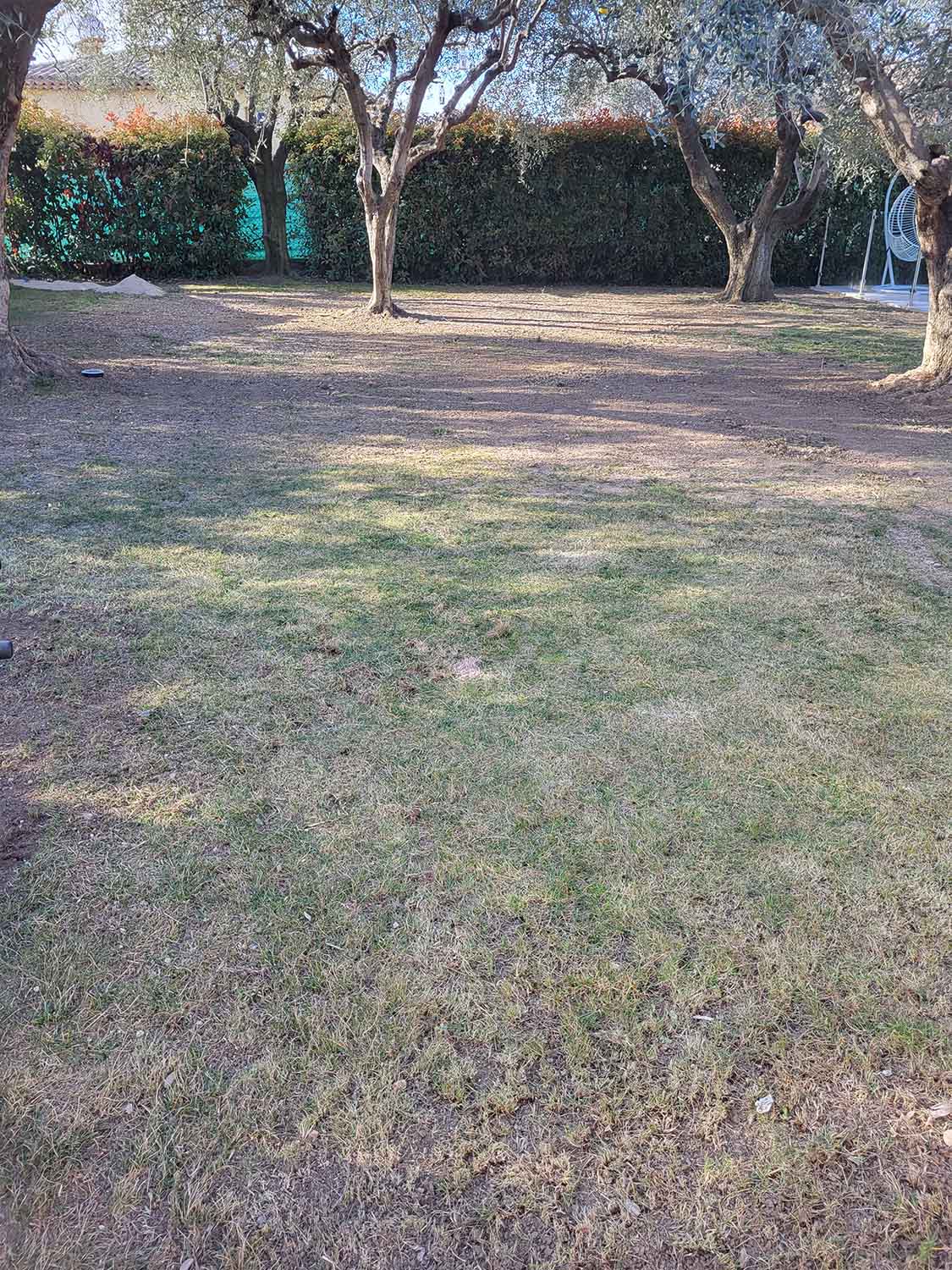 paysagiste nice-creation de jardin saint laurent du var-entretien de jardin cagnes sur mer-elagage saint jean cap ferrat-debroussaillage cannes-petit maconnerie roquebrune cap martin-jardinier paysagiste antibes