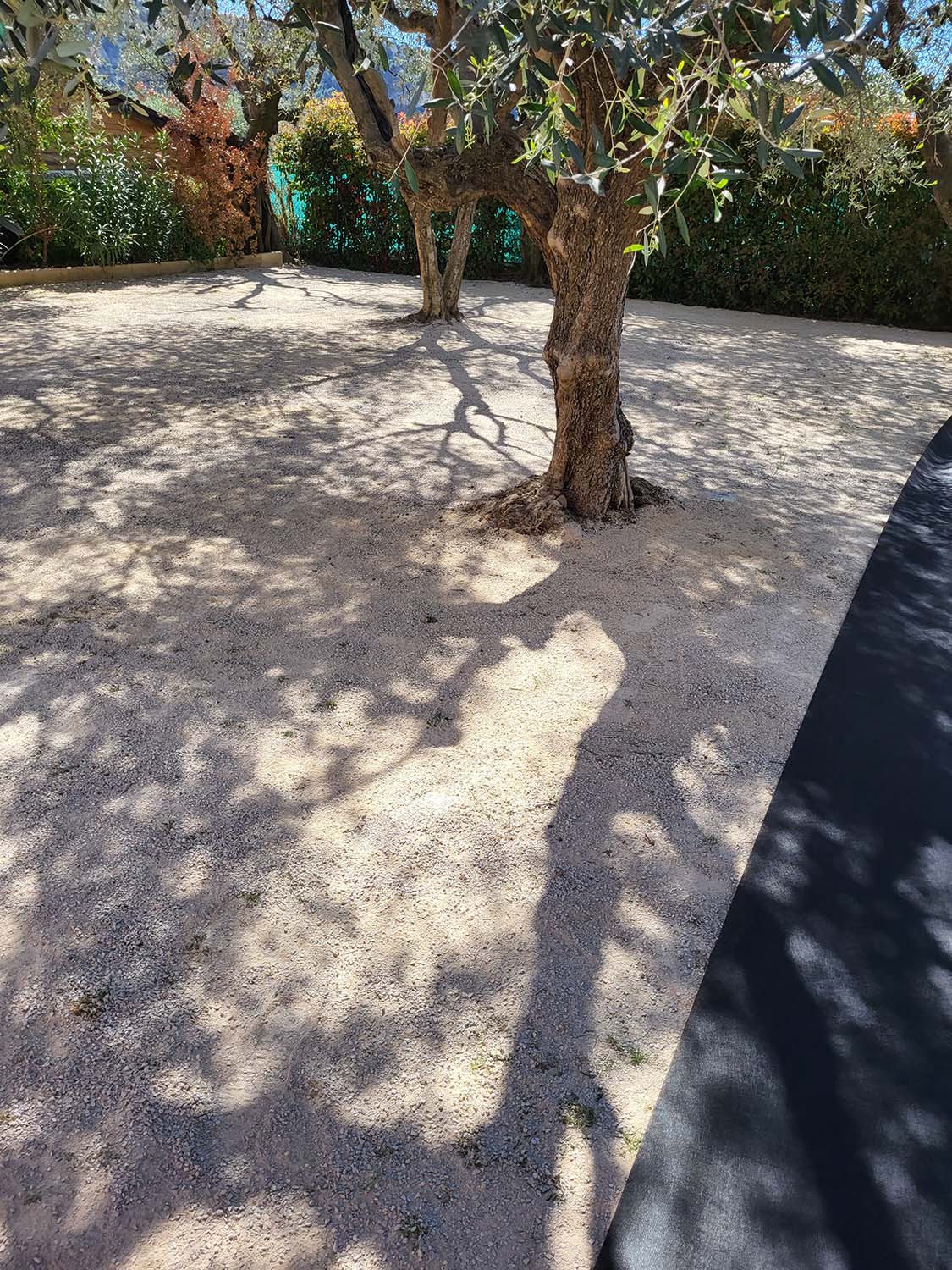 paysagiste nice-creation de jardin saint laurent du var-entretien de jardin cagnes sur mer-elagage saint jean cap ferrat-debroussaillage cannes-petit maconnerie roquebrune cap martin-jardinier paysagiste antibes