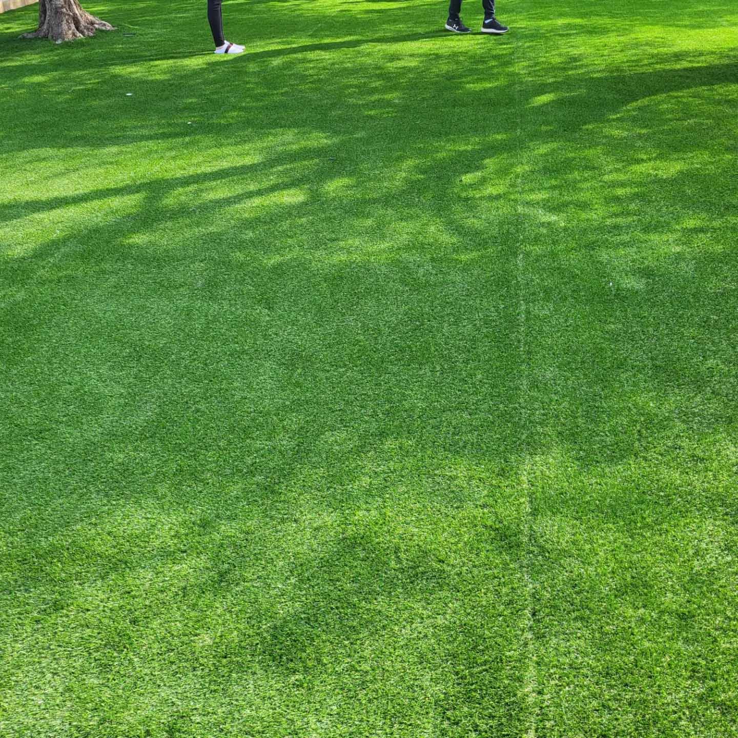 paysagiste nice-creation de jardin saint laurent du var-entretien de jardin cagnes sur mer-elagage saint jean cap ferrat-debroussaillage cannes-petit maconnerie roquebrune cap martin-jardinier paysagiste antibes