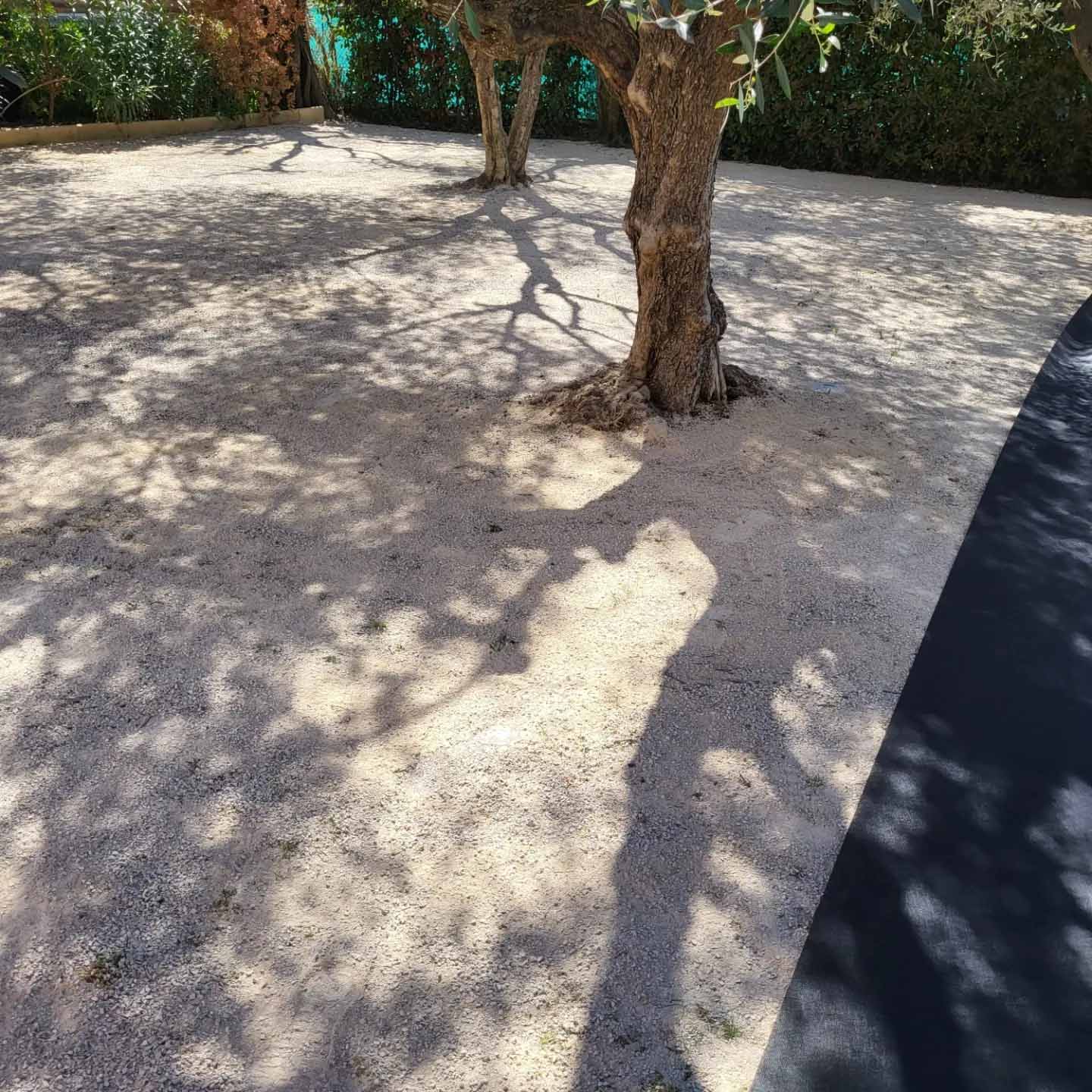 paysagiste nice-creation de jardin saint laurent du var-entretien de jardin cagnes sur mer-elagage saint jean cap ferrat-debroussaillage cannes-petit maconnerie roquebrune cap martin-jardinier paysagiste antibes