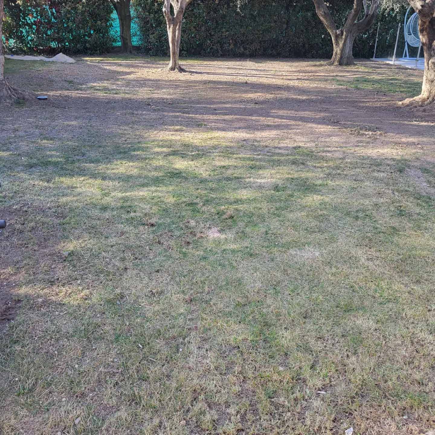 paysagiste nice-creation de jardin saint laurent du var-entretien de jardin cagnes sur mer-elagage saint jean cap ferrat-debroussaillage cannes-petit maconnerie roquebrune cap martin-jardinier paysagiste antibes