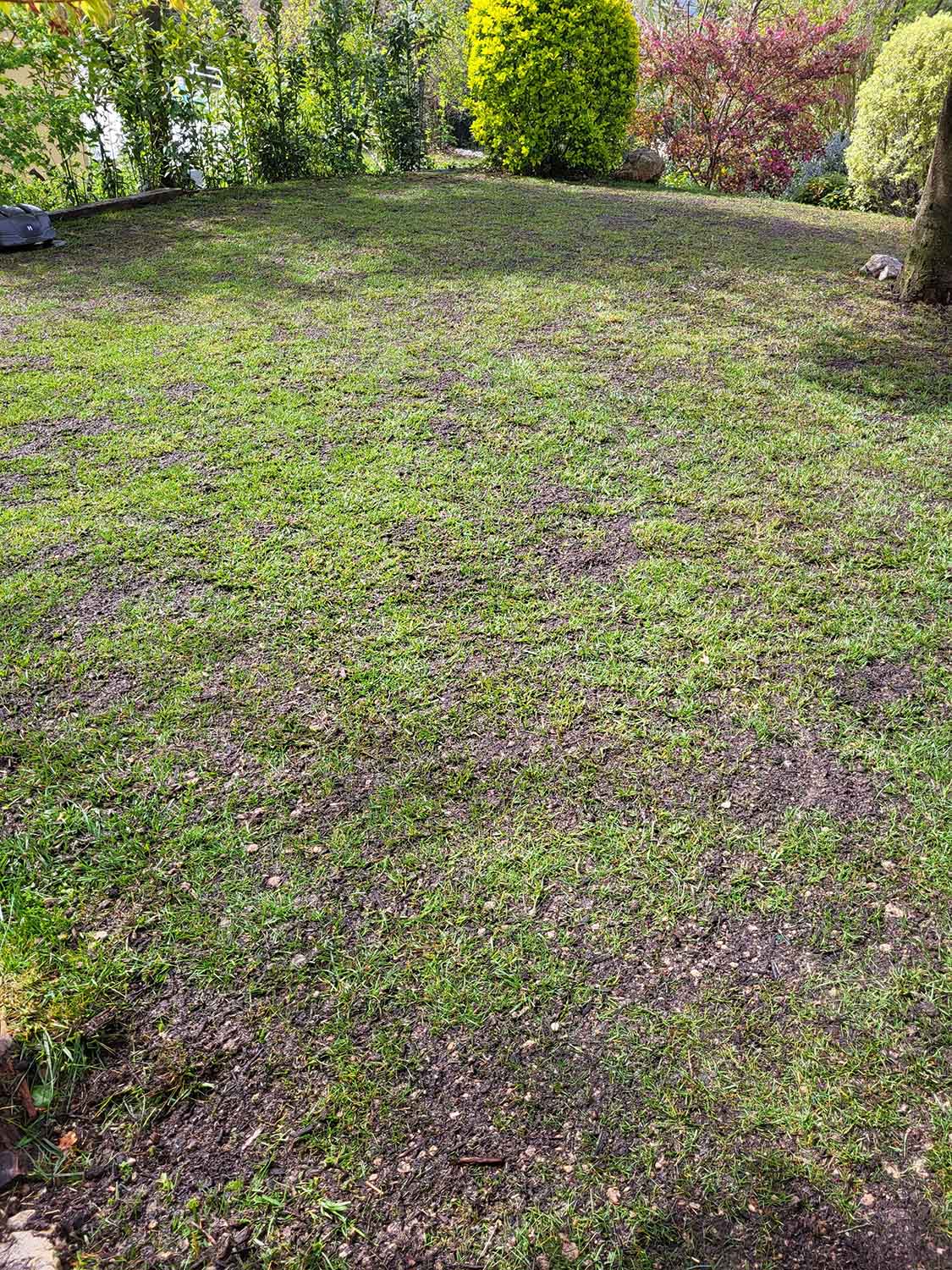 paysagiste nice-creation de jardin saint laurent du var-entretien de jardin cagnes sur mer-elagage saint jean cap ferrat-debroussaillage cannes-petit maconnerie roquebrune cap martin-jardinier paysagiste antibes