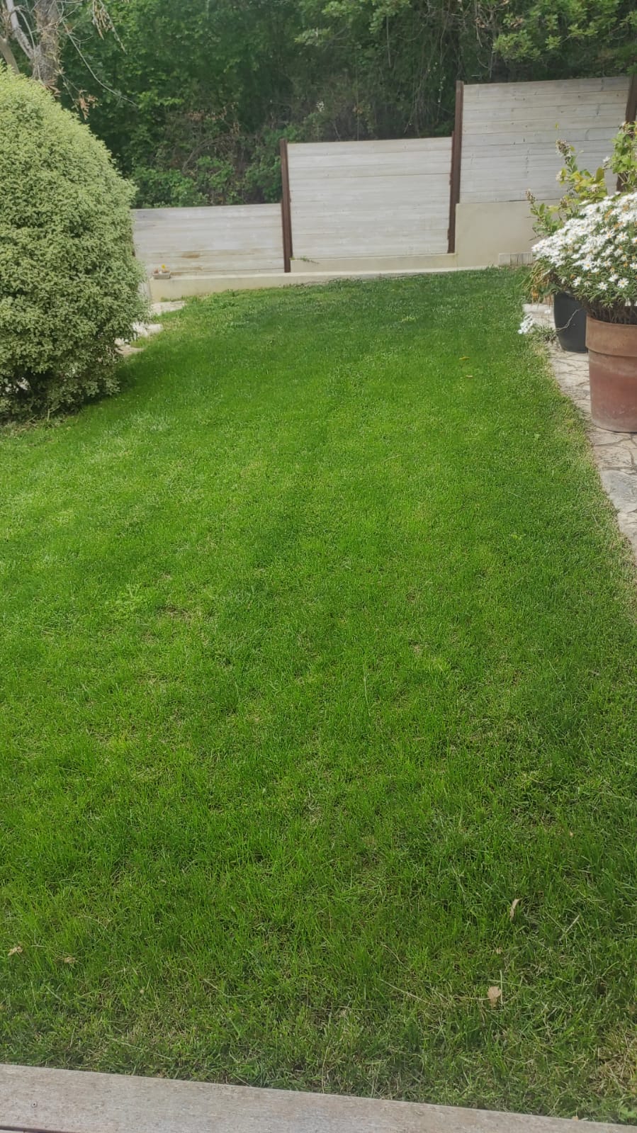 paysagiste nice-creation de jardin saint laurent du var-entretien de jardin cagnes sur mer-elagage saint jean cap ferrat-debroussaillage cannes-petit maconnerie roquebrune cap martin-jardinier paysagiste antibes