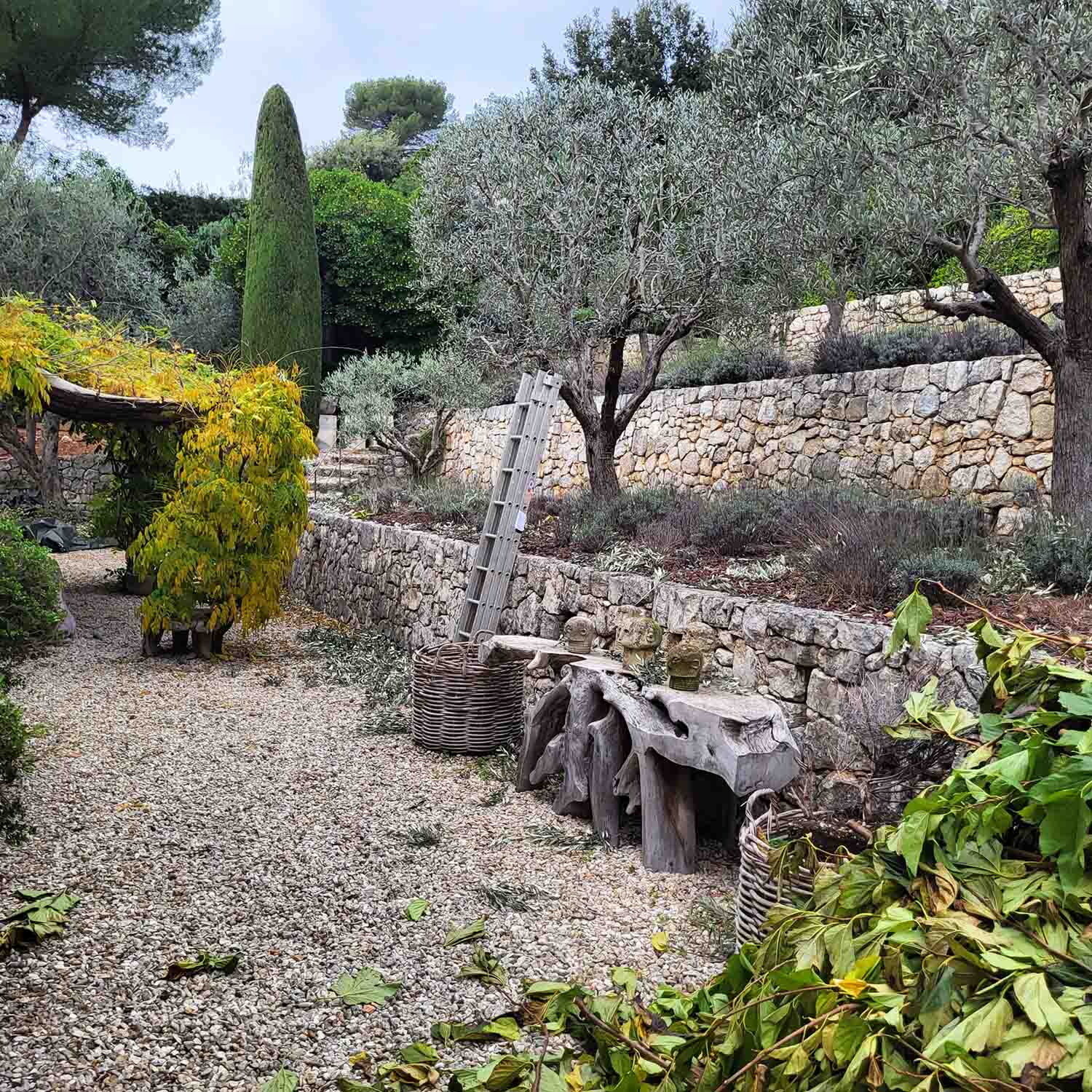 paysagiste nice-creation de jardin saint laurent du var-entretien de jardin cagnes sur mer-elagage saint jean cap ferrat-debroussaillage cannes-petit maconnerie roquebrune cap martin-jardinier paysagiste antibes