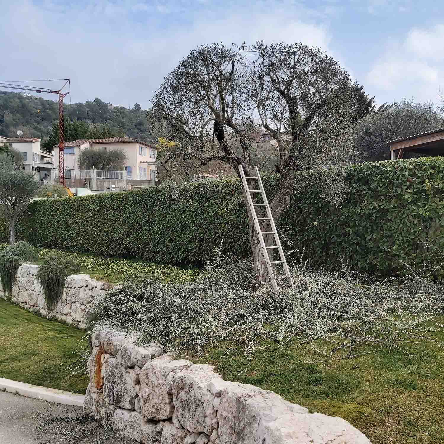 paysagiste nice-creation de jardin saint laurent du var-entretien de jardin cagnes sur mer-elagage saint jean cap ferrat-debroussaillage cannes-petit maconnerie roquebrune cap martin-jardinier paysagiste antibes