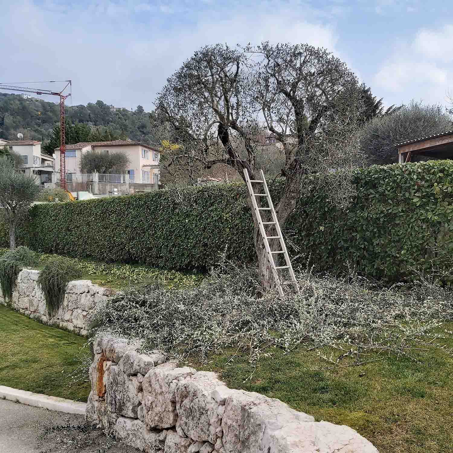 paysagiste nice-creation de jardin saint laurent du var-entretien de jardin cagnes sur mer-elagage saint jean cap ferrat-debroussaillage cannes-petit maconnerie roquebrune cap martin-jardinier paysagiste antibes