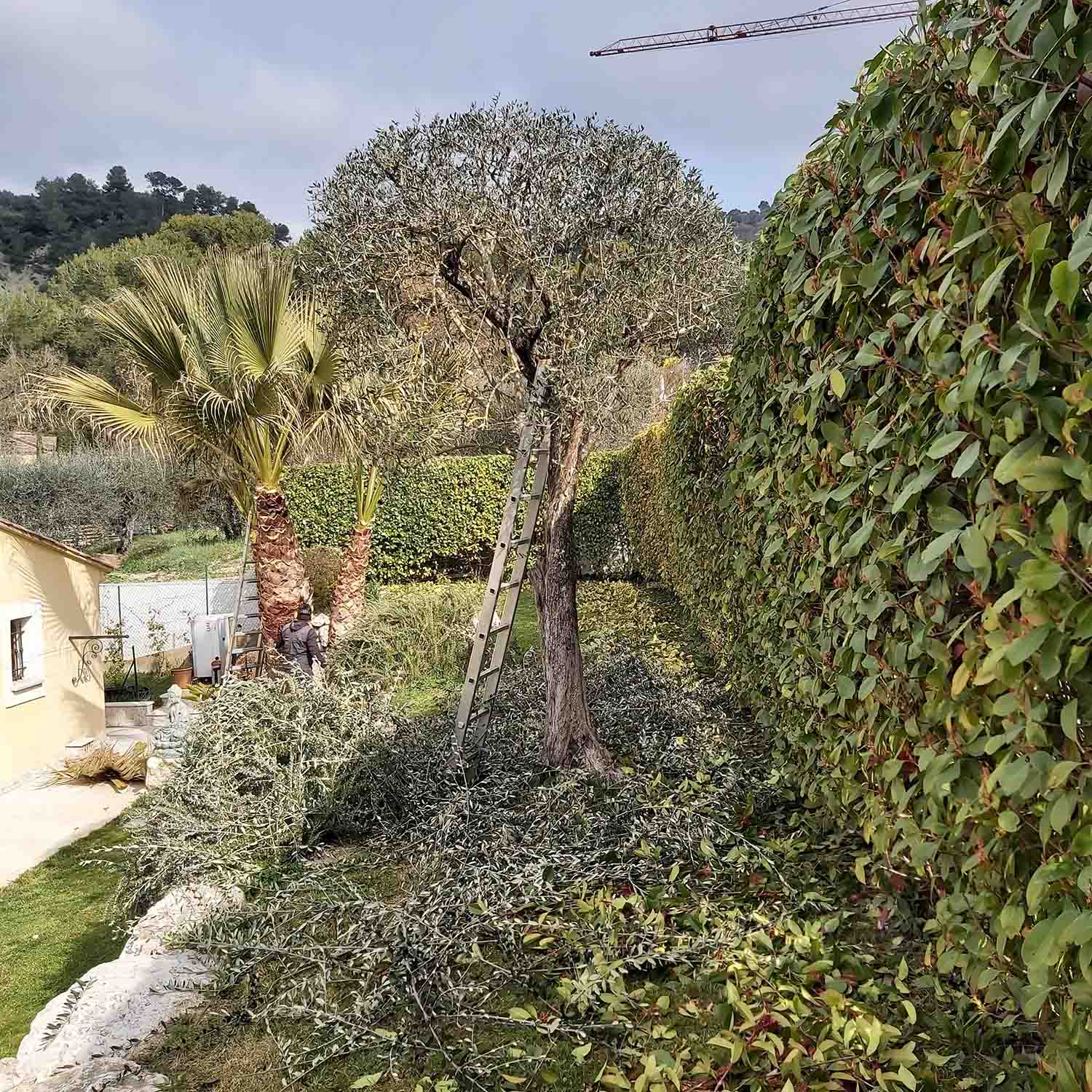 paysagiste nice-creation de jardin saint laurent du var-entretien de jardin cagnes sur mer-elagage saint jean cap ferrat-debroussaillage cannes-petit maconnerie roquebrune cap martin-jardinier paysagiste antibes