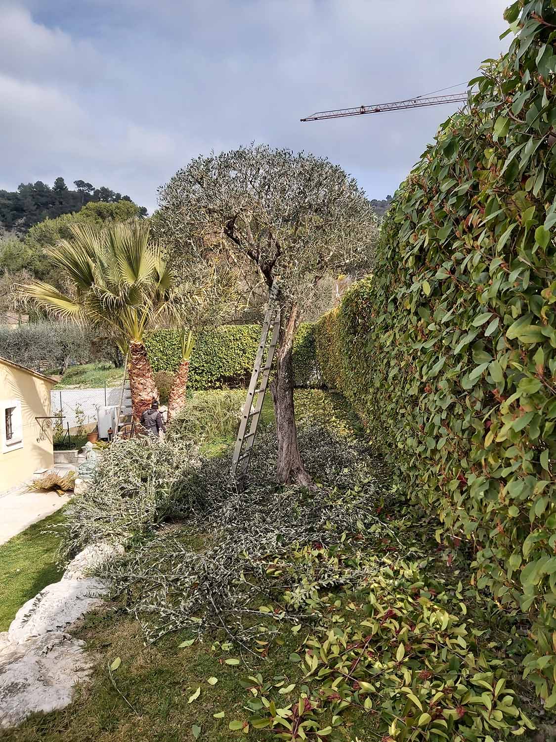 paysagiste nice-creation de jardin saint laurent du var-entretien de jardin cagnes sur mer-elagage saint jean cap ferrat-debroussaillage cannes-petit maconnerie roquebrune cap martin-jardinier paysagiste antibes