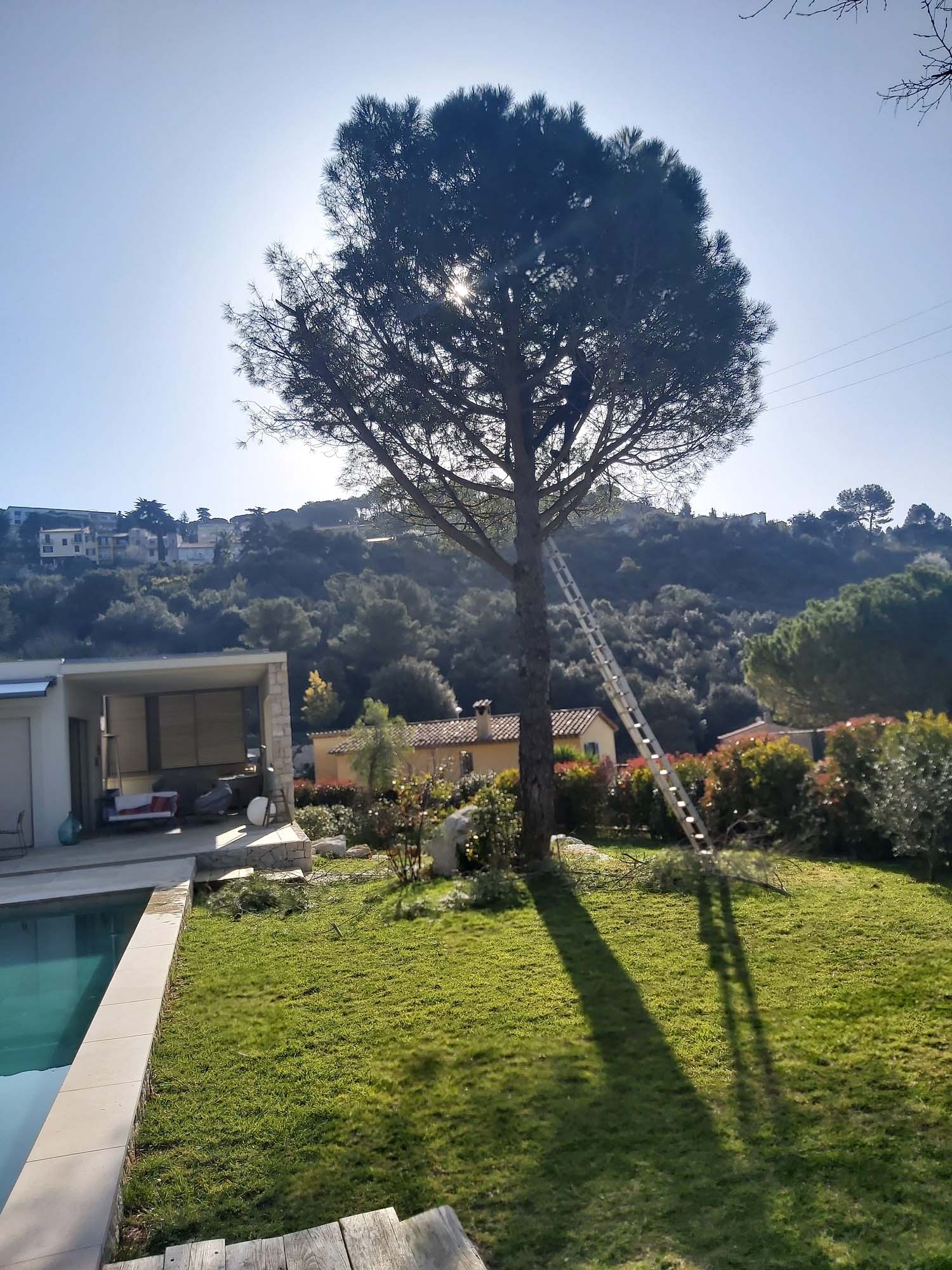 paysagiste nice-creation de jardin saint laurent du var-entretien de jardin cagnes sur mer-elagage saint jean cap ferrat-debroussaillage cannes-petit maconnerie roquebrune cap martin-jardinier paysagiste antibes