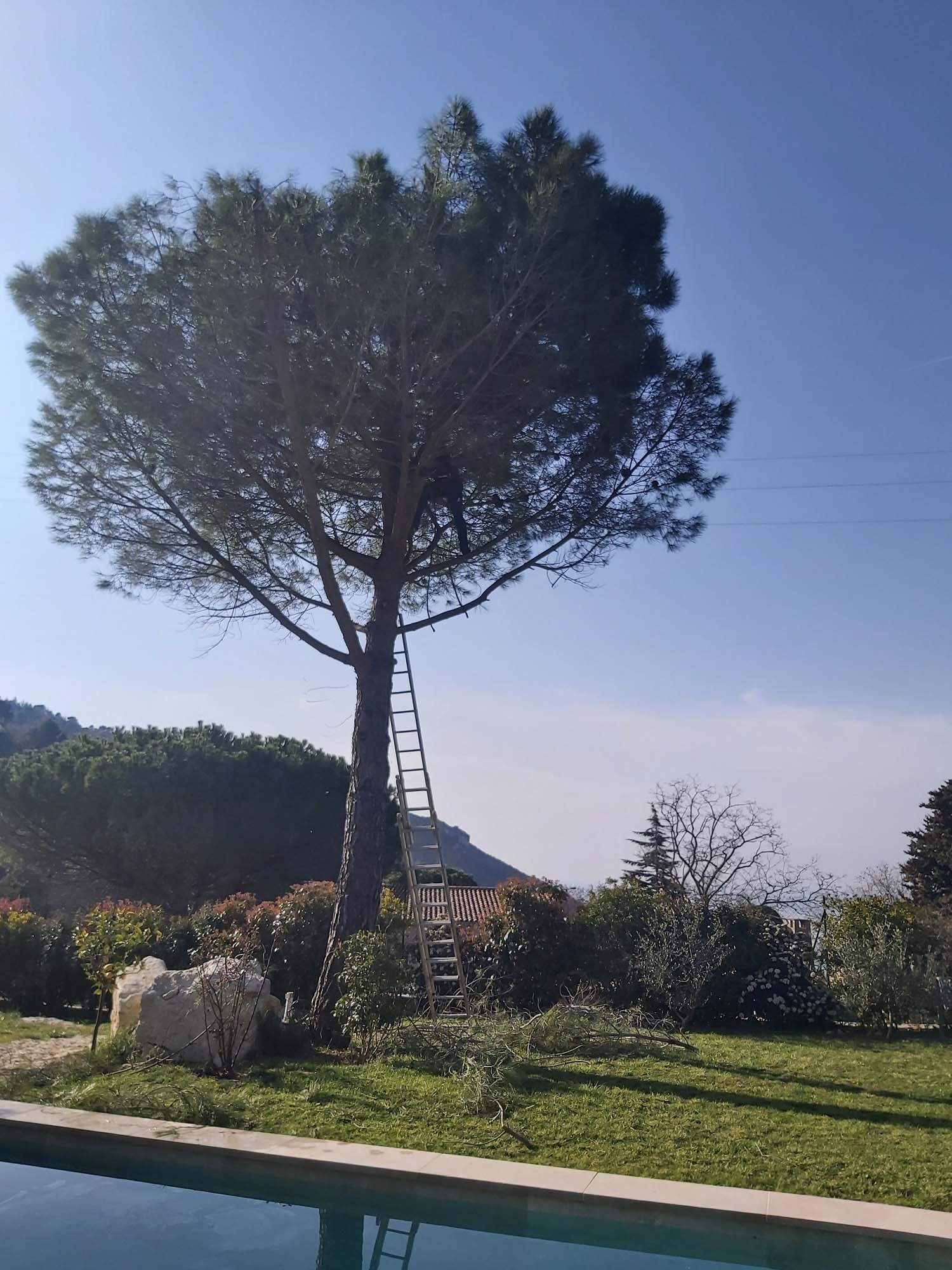 paysagiste nice-creation de jardin saint laurent du var-entretien de jardin cagnes sur mer-elagage saint jean cap ferrat-debroussaillage cannes-petit maconnerie roquebrune cap martin-jardinier paysagiste antibes