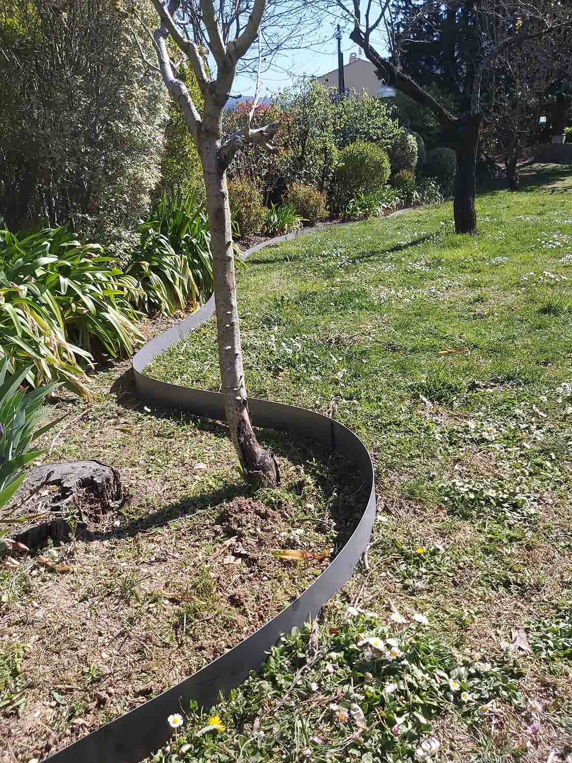 paysagiste nice-creation de jardin saint laurent du var-entretien de jardin cagnes sur mer-elagage saint jean cap ferrat-debroussaillage cannes-petit maconnerie roquebrune cap martin-jardinier paysagiste antibes