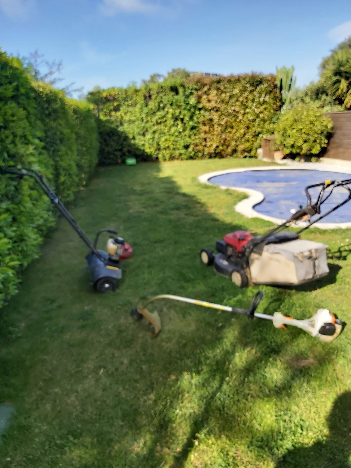 paysagiste nice-creation de jardin saint laurent du var-entretien de jardin cagnes sur mer-elagage saint jean cap ferrat-debroussaillage cannes-petit maconnerie roquebrune cap martin-jardinier paysagiste antibes